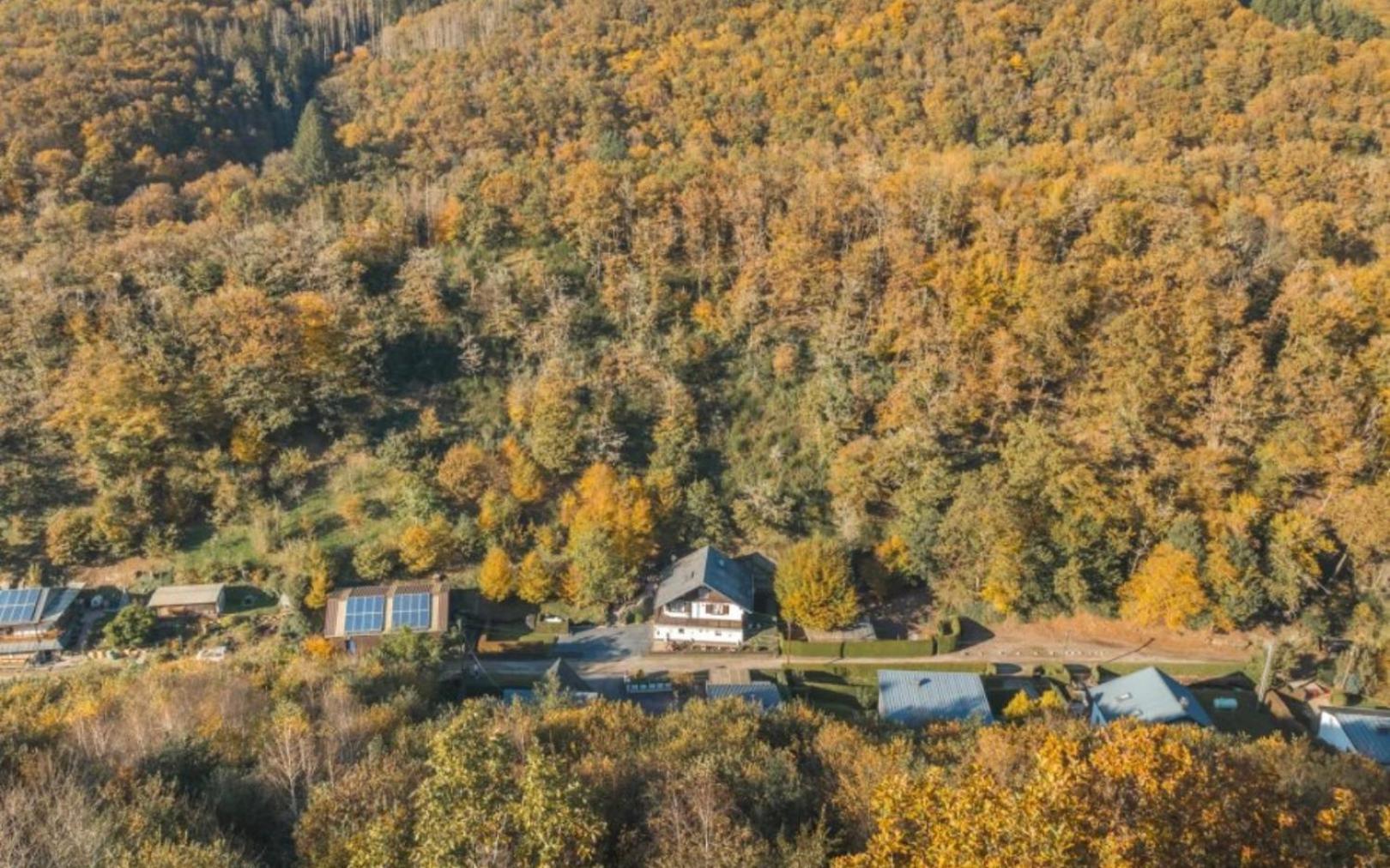 High Chapparal Dirbach